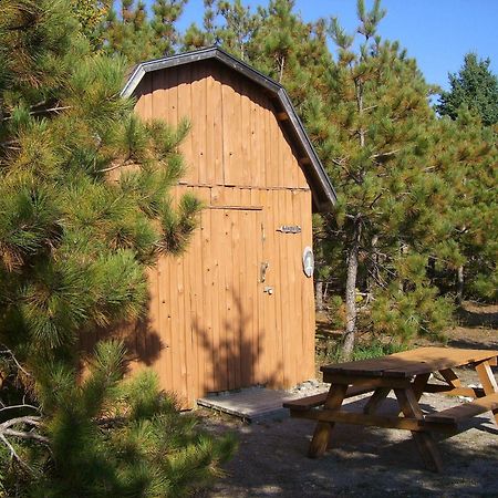 Little Cove Adventures Tobermory Exterior photo